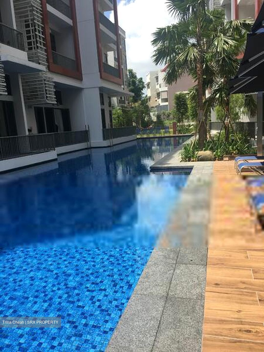 The Creek @ Bukit (D21), Condominium #456547521